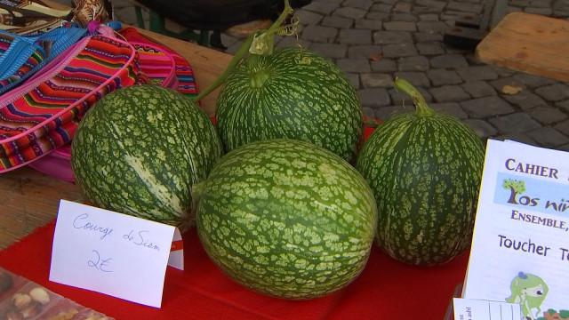 Les Petits Producteurs, lauréats de CREaFARM