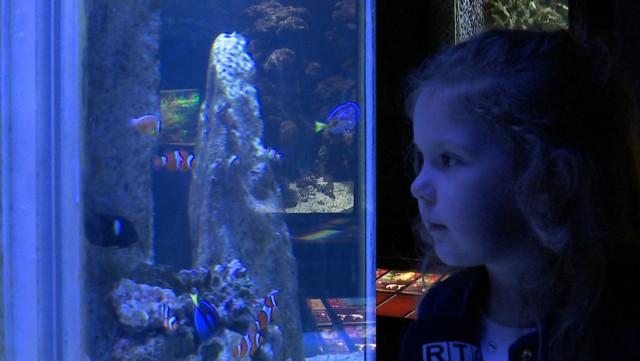 Météo changeante, bilan heureux pour l'Aquarium de Liège
