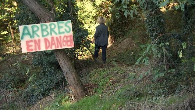 Les riverains de Cointe tracassés par un projet immobilier renaissant dans le Bois d'Avroy