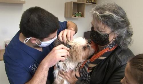 Les vétérinaires: les oubliés de la vaccination covid