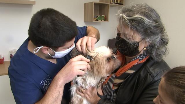Les vétérinaires: les oubliés de la vaccination covid