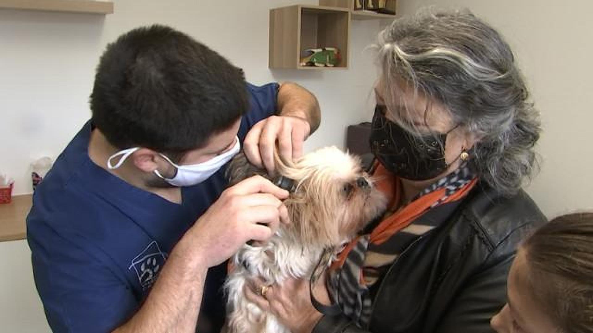 Les vétérinaires: les oubliés de la vaccination covid