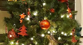 Liège : collecte des sapins dès le 7 janvier 