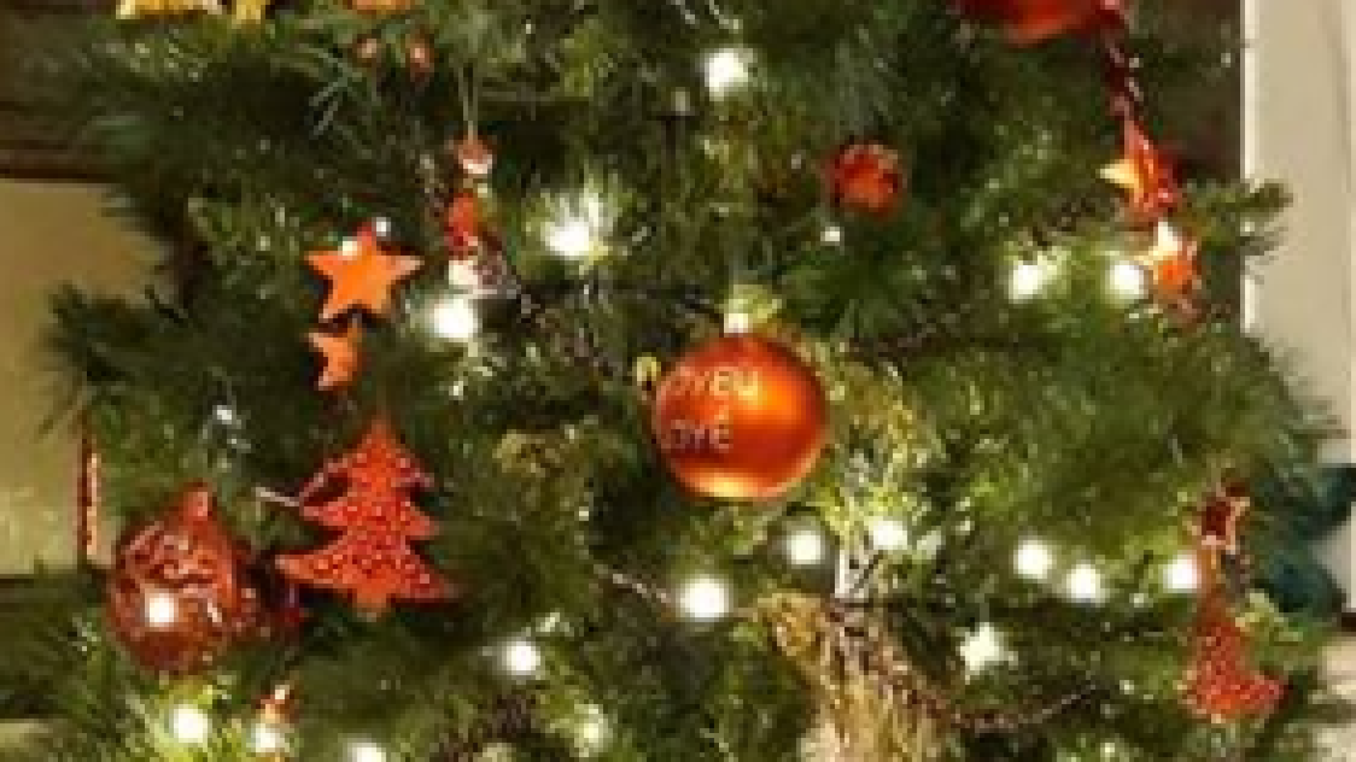 Liège : collecte des sapins dès le 7 janvier 