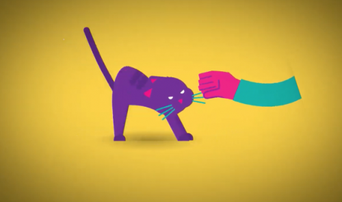 Liège : des chats pour illustrer le consentement sexuel 
