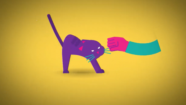 Liège : des chats pour illustrer le consentement sexuel 