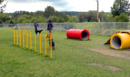 Liège : le parc canin sera installé boulevard Kleyer