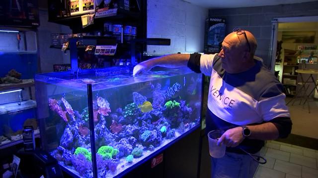 Liège: Un garage dédié au monde marin