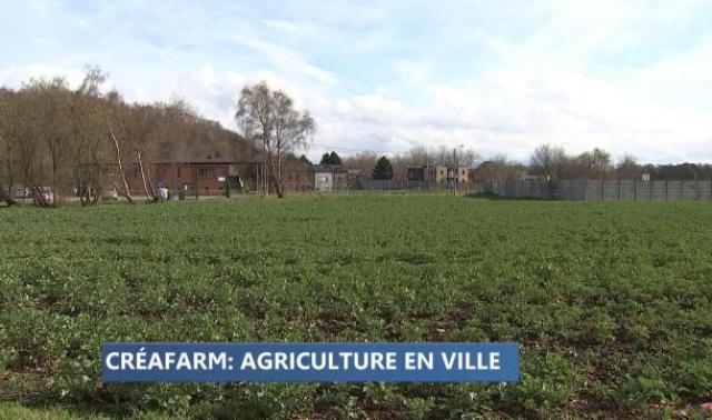 Liège : un projet de maraîchage dans le quartier des Tawes