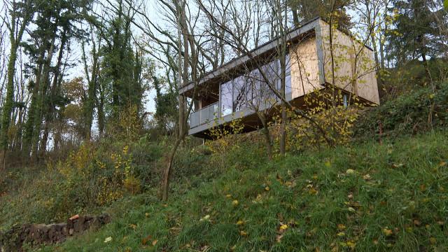 Luxe et déconnexion au sommet des arbres à Villers-le-Temple