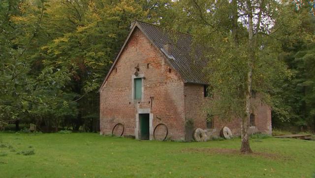 Moulin du Stwerdu: année exceptionnelle pour les noix