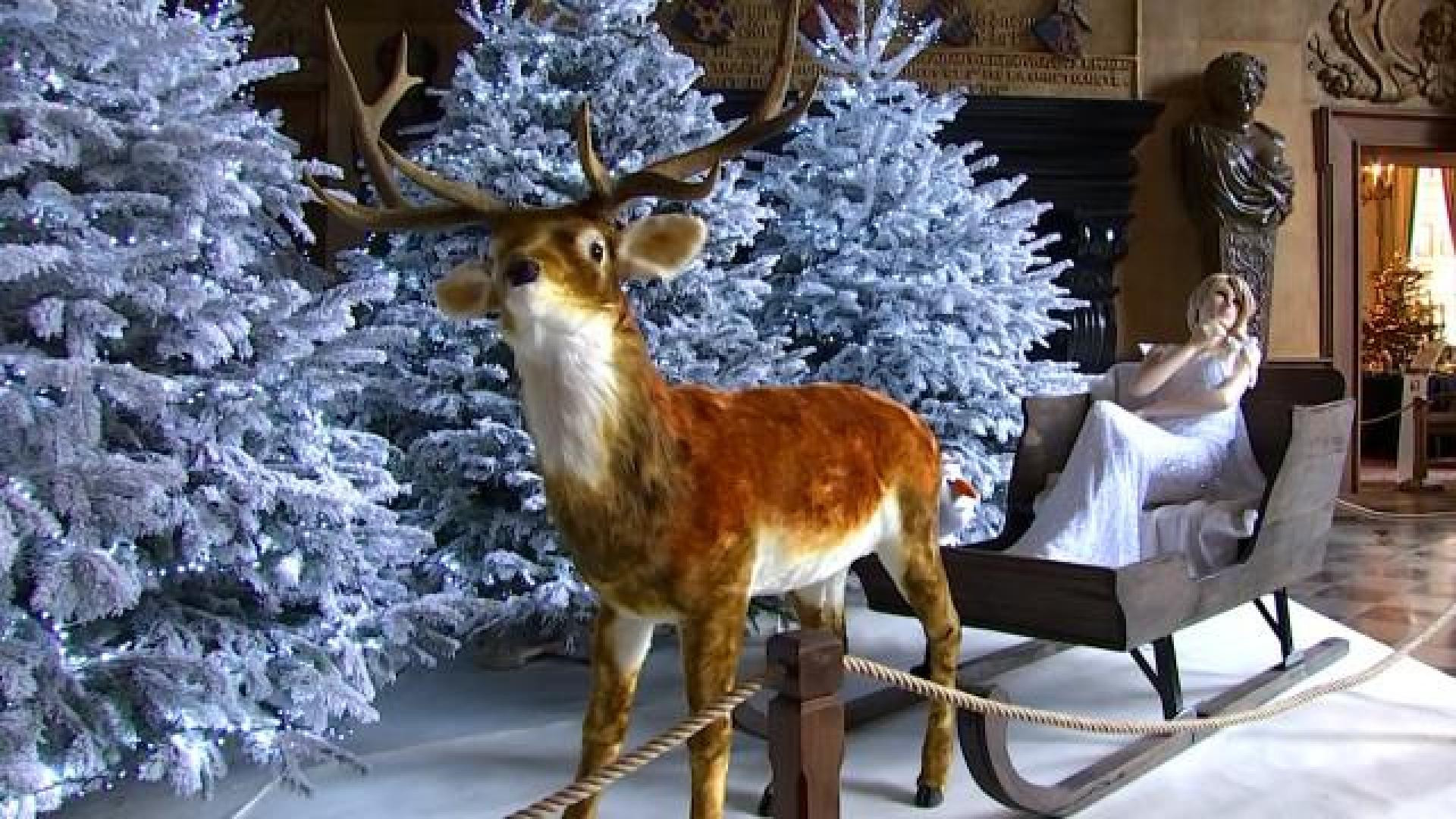 Noël au Château de Modave: contes et légendes à l'honneur