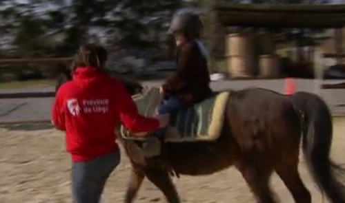 Nouvelle section "équitation adaptée" à l'Académie des Sports 