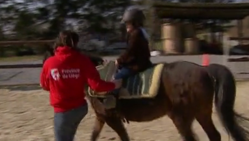 Nouvelle section "équitation adaptée" à l'Académie des Sports 