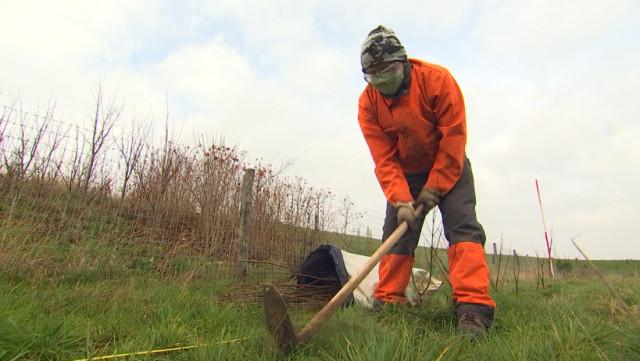 Objectif 10 kilomètres de haies pour Carmeuse