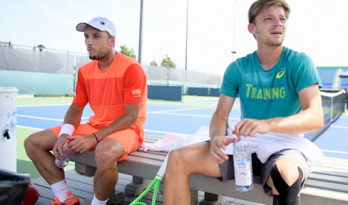 Open d'Australie : David Goffin face au 86e mondial
