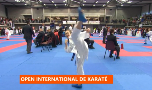 Open International de Karaté de la Province de Liège