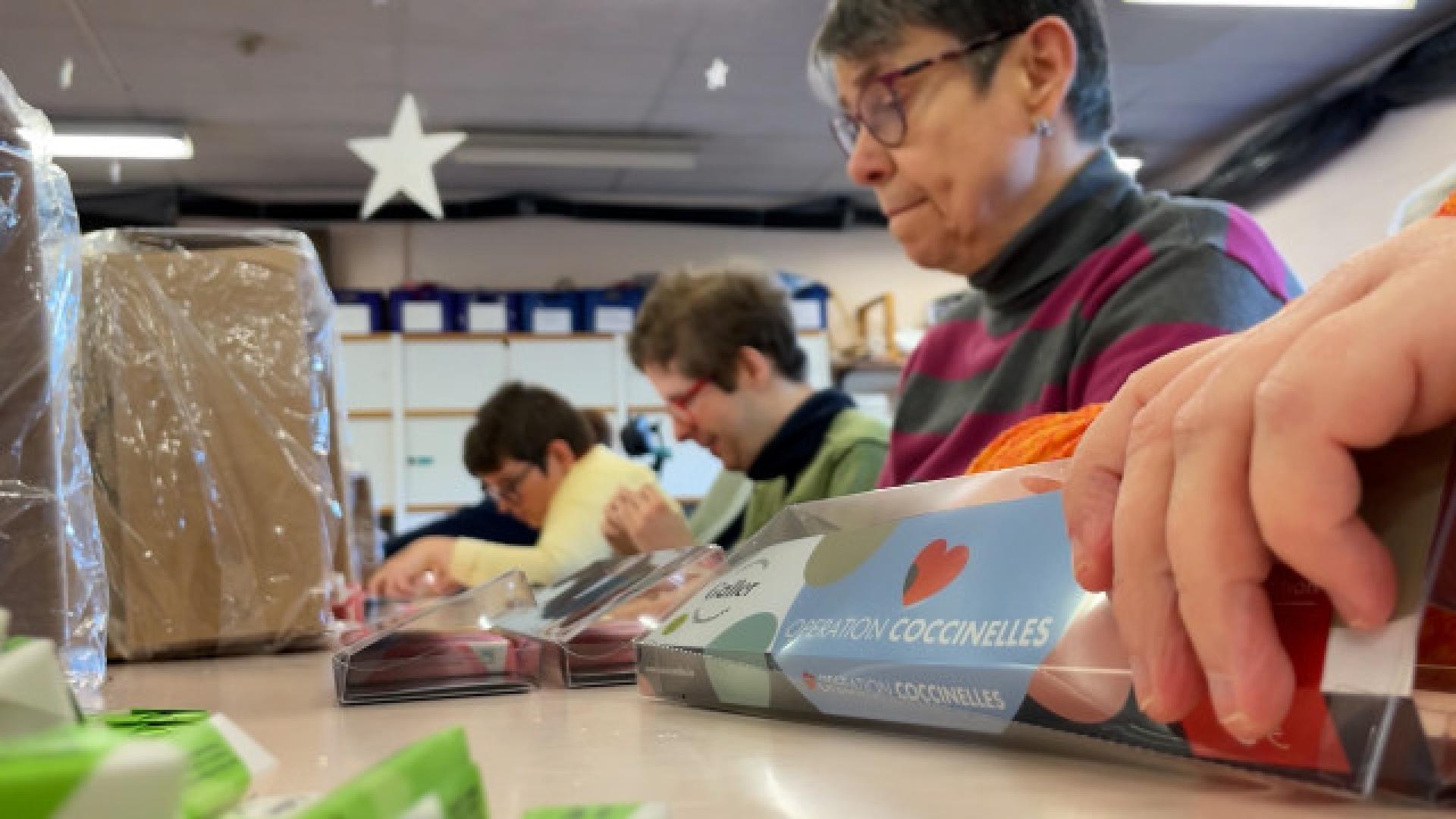 Opération coccinelles : une 40e édition un peu moins chocolatée