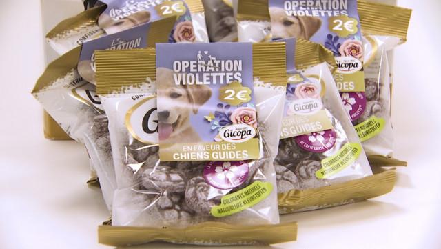 Opération Violettes en faveur des chiens guides 