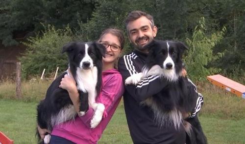 Oreye : un couple et ses chiens préparent un championnat d'agility 