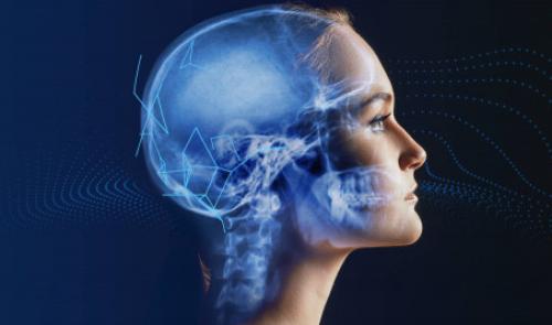 Osimis lève 1,6 million d'euros pour développer l'intelligence artificielle dans l'imagerie médicale