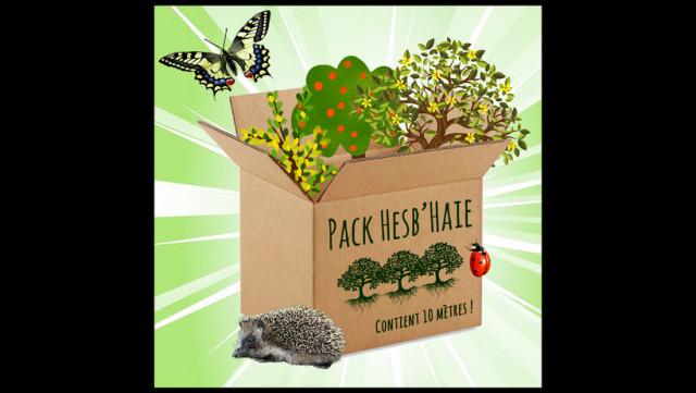 Packs Hesb'haie: on remet le couvert!