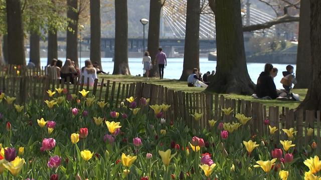 Parcs de la Boverie et du Jardin Botanique : fin des fermetures nocturnes