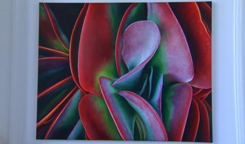 Plantasia : birds of Paradise : Adèle Renault expose sa nouvelle série à la galerie Quai4