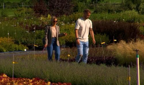 Planter dans son jardin maintenant ? C'est possible ! 