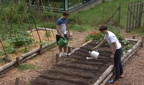 Pot'ingé : le potager universitaire collectif et connecté 