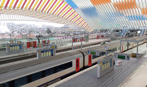 Poursuite du mouvement des accompagnateurs, la circulation des trains perturbée 
