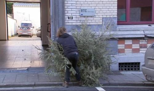 Préparez-vous au ramassage des sapins naturels