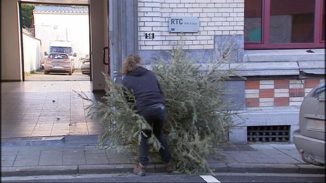 Préparez-vous au ramassage des sapins naturels