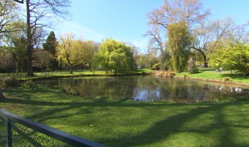 Projet de restauration du jardin botanique 