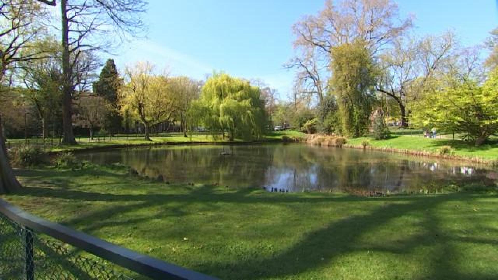 Projet de restauration du jardin botanique 
