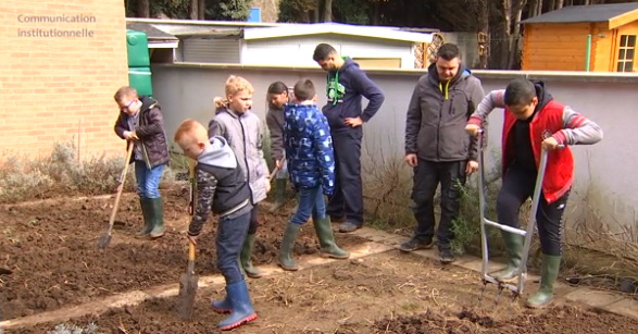 Rat des villes, rat des champs : Les potagers collectifs