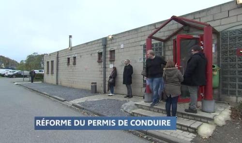 Remicourt : un cheval de trait au service des habitants 