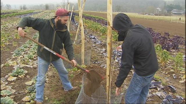 Restaurons la Terre : un projet d'agro-foresterie entre Nord et Sud