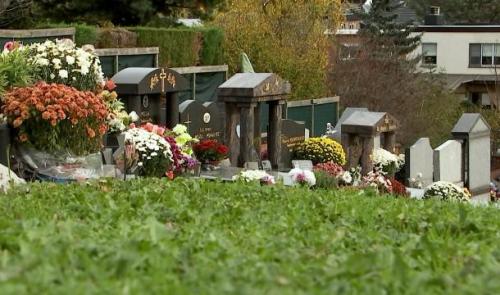 Visites dans des cimetières de plus en plus verts 