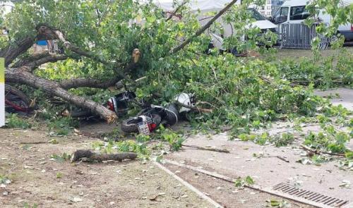 Retrouvailles : une branche tombe sur un stand et fait deux blessées