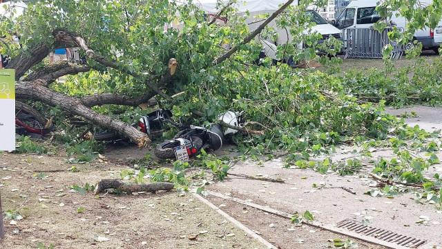 Retrouvailles : une branche tombe sur un stand et fait deux blessées