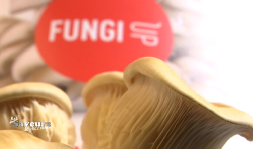Saveurs de chez nous : Fungi Up