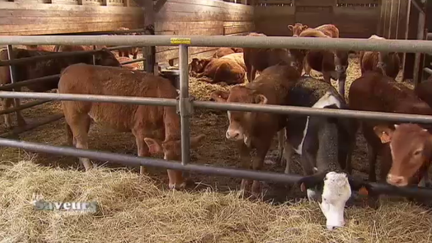 Saveurs de chez nous : la Ferme Ansay