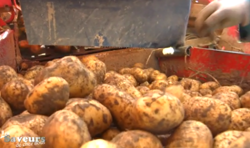 Saveurs de chez nous : la ferme Derivaux