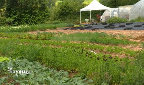 Saveurs de chez nous : Le Jardin des Sourdans