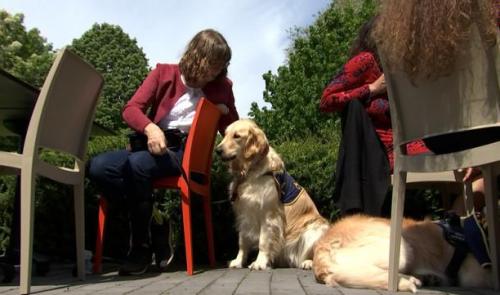 Seraing dit oui aux chiens d’assistance 