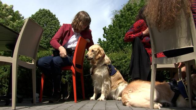 Seraing dit oui aux chiens d’assistance 