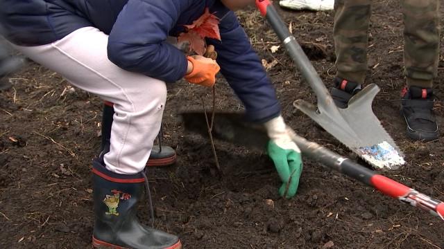 Seraing: plantation d'une mini-forêt urbaine
