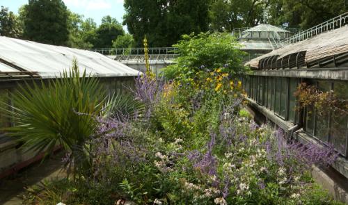 Serres du Jardin Botanique : suivez le guide 