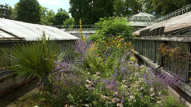 Serres du Jardin Botanique : suivez le guide 